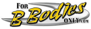 For B Bodies Only Website Logo